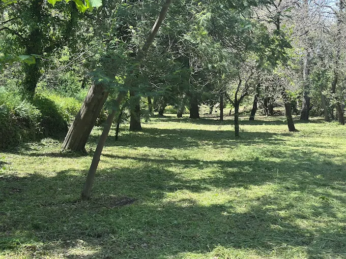 2025-06-07 (2) Cooperativa agricola a Trecastagni